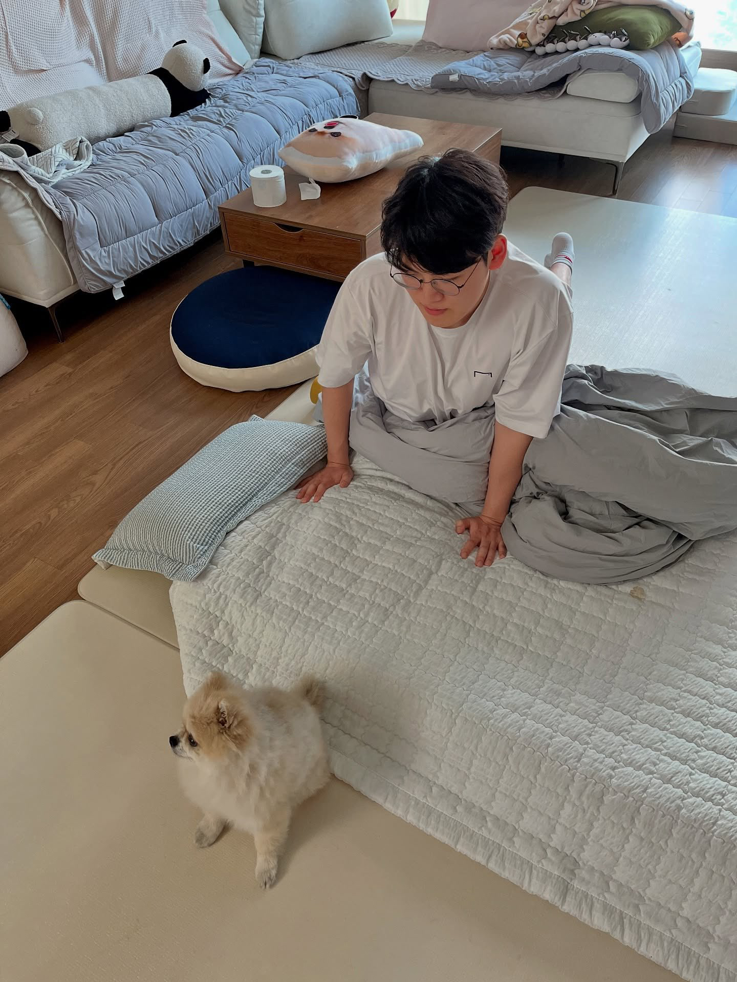 구마유시의 최신 사진