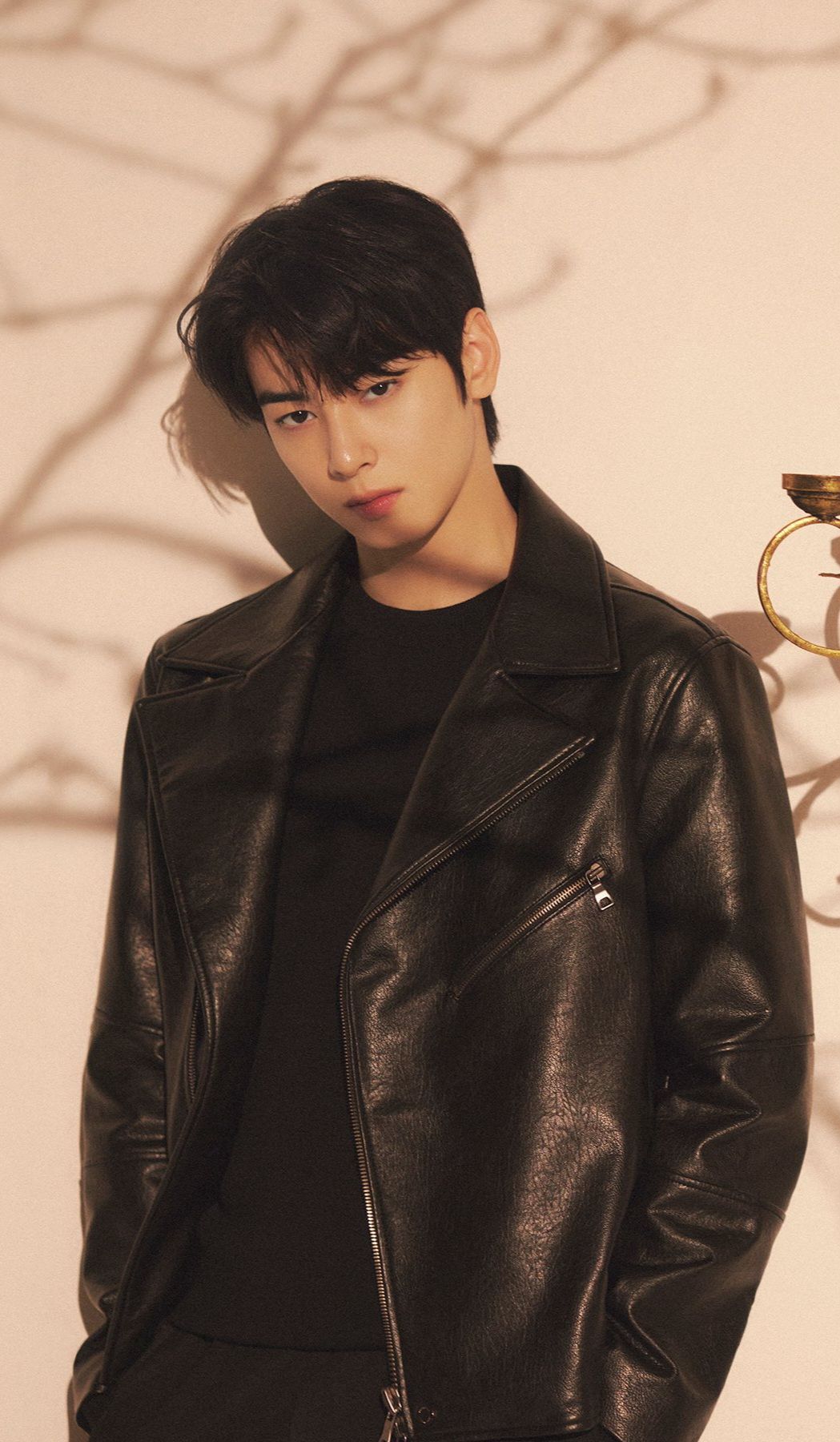 Special wallpaper made by Cha Eunwoo's fans