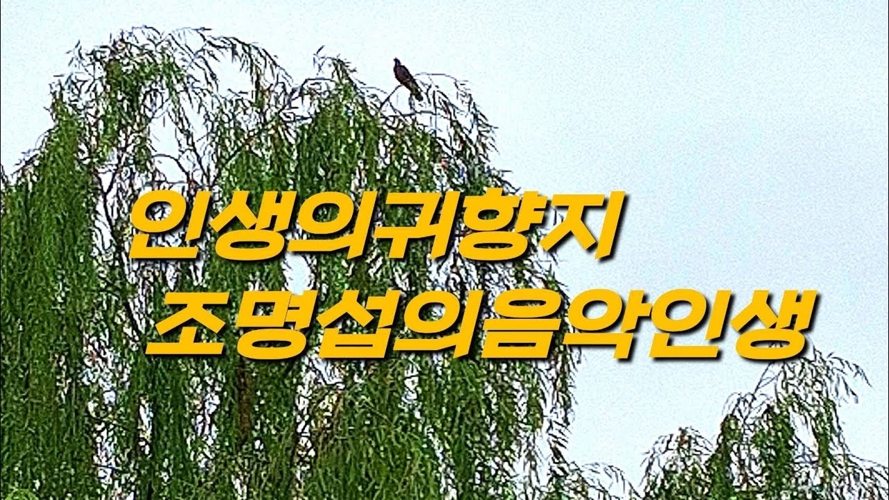 A moment captured by a fan of Jo Myungsup