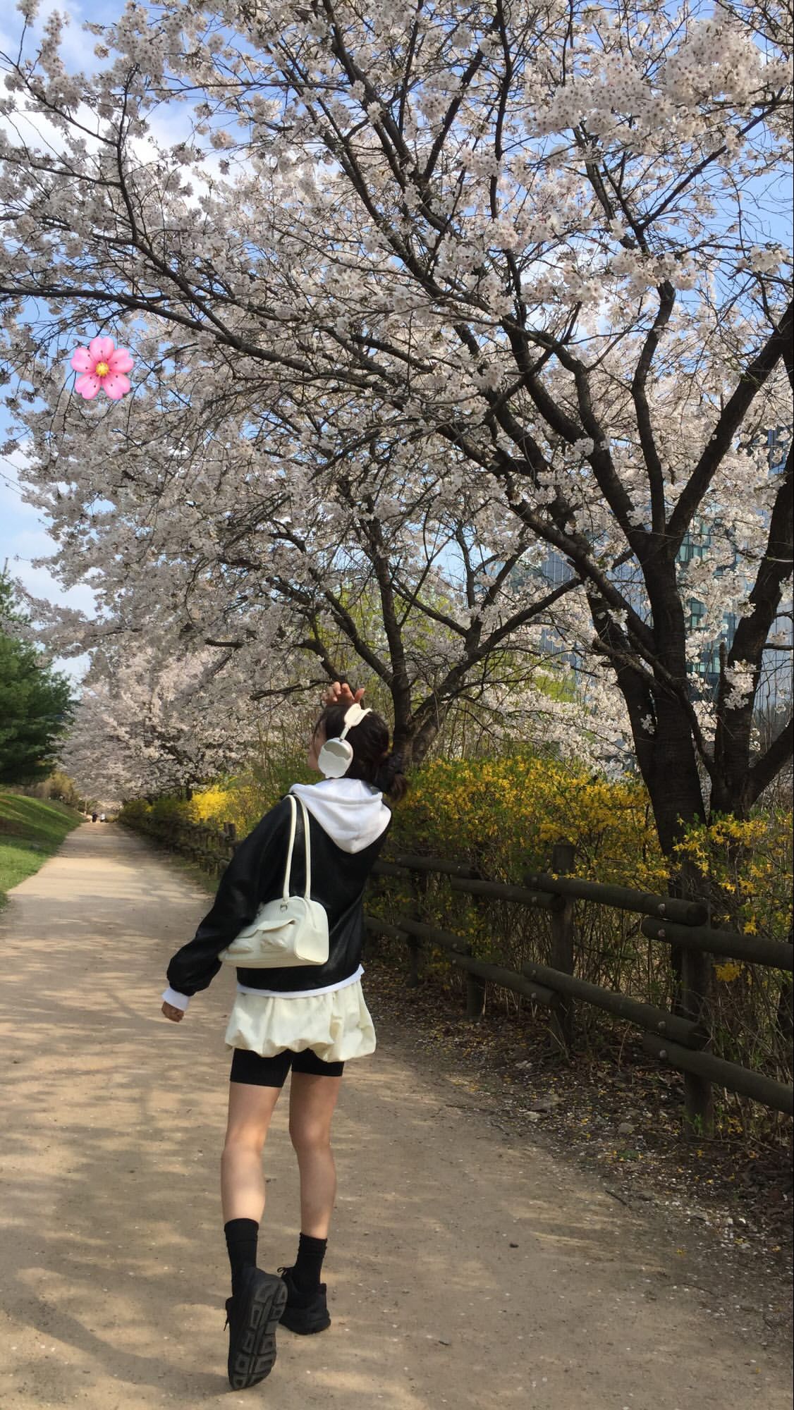 A moment captured by a fan of Jung Somin