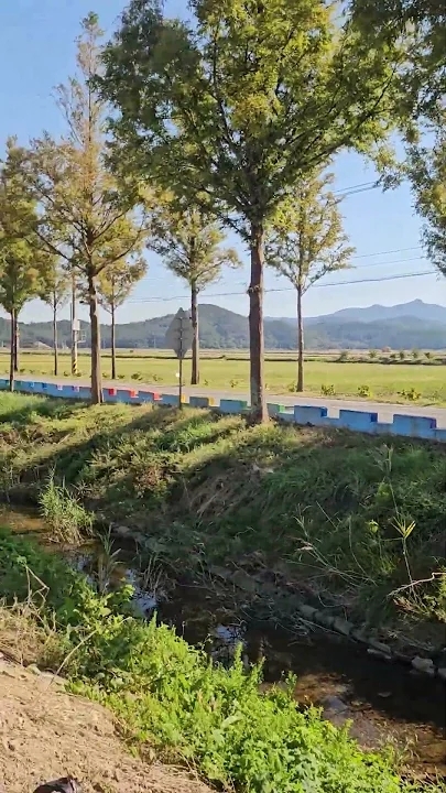 宋歌人的最新照片