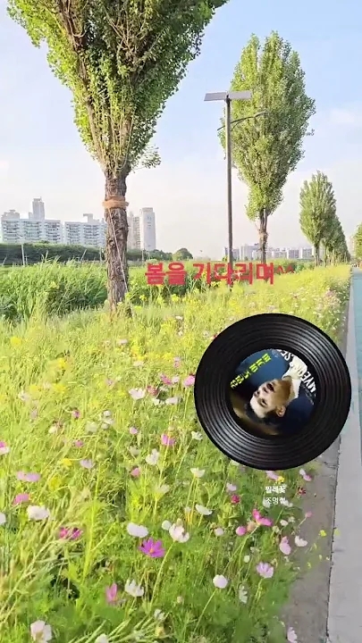 조명섭 팬이 찍은 순간