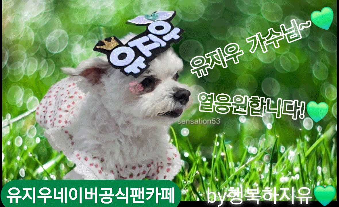 Recent activity shot of You Jiwoo