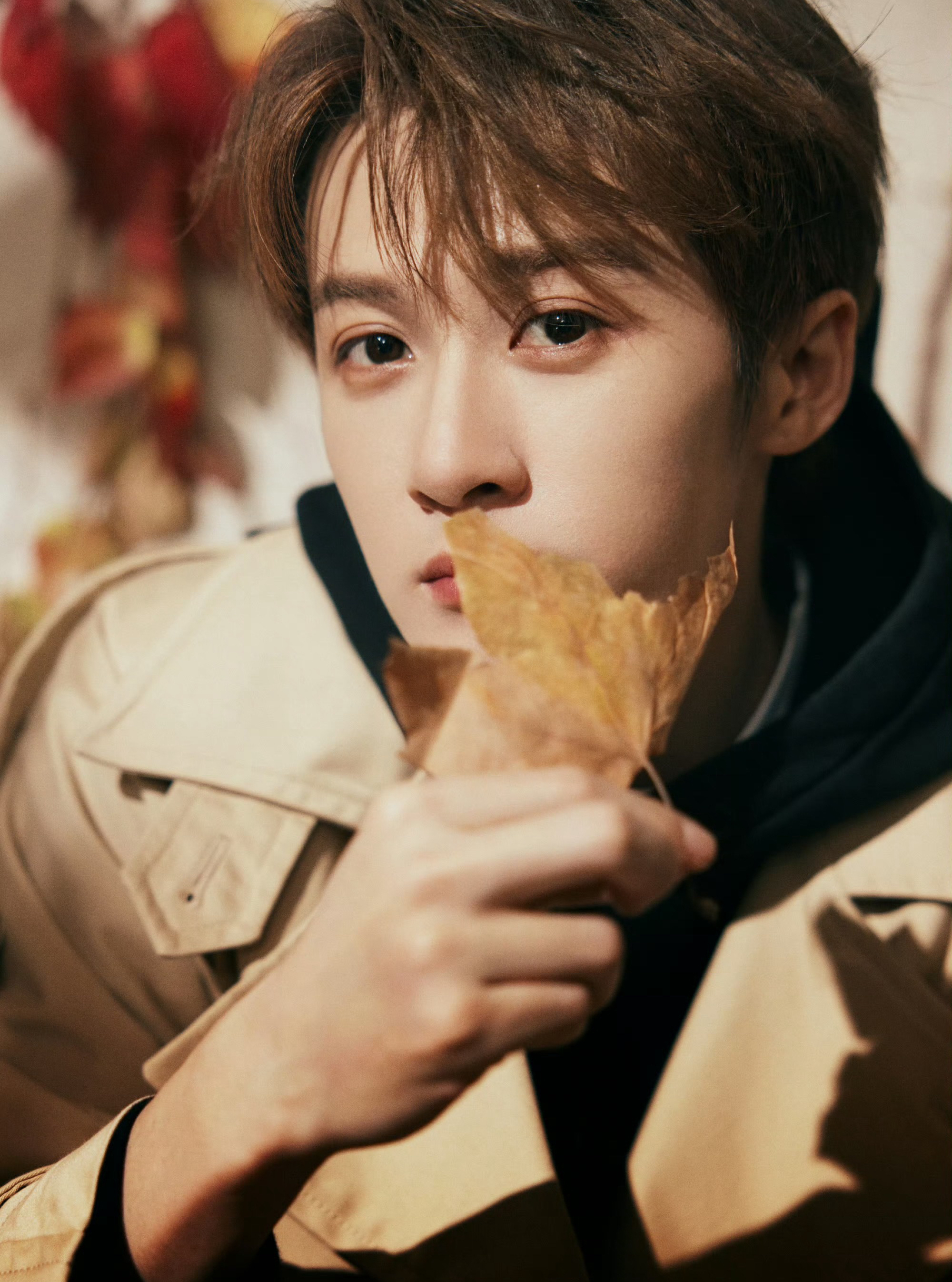 Latest photo of Tan Jianci