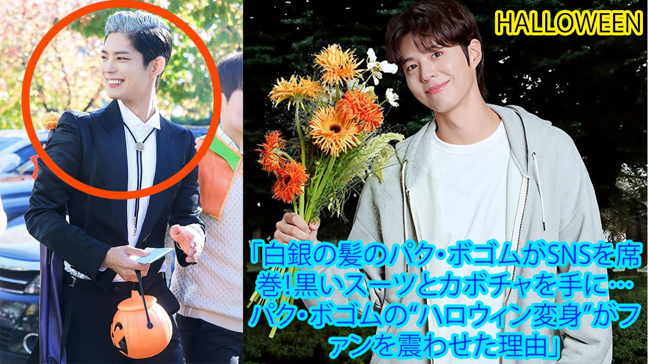 Recent activity shot of Park Bogum