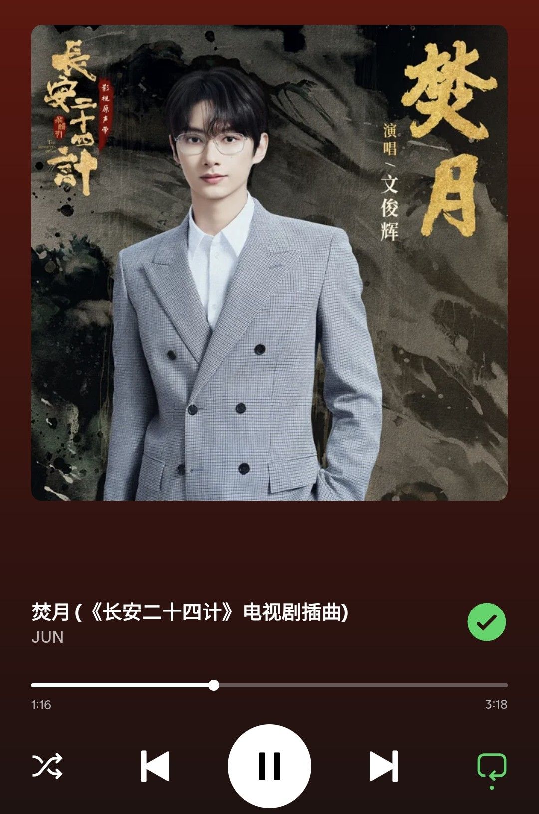 A moment captured by a fan of Wen Junhui