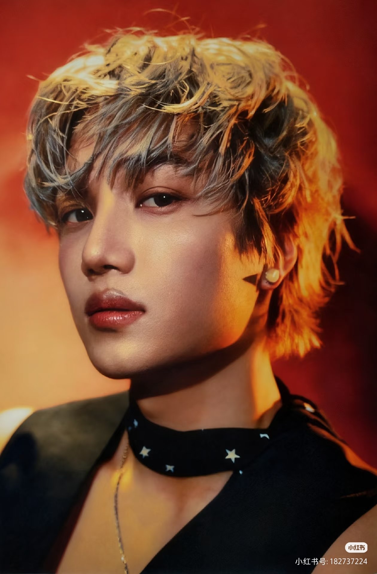 カイの最近の活動ショット