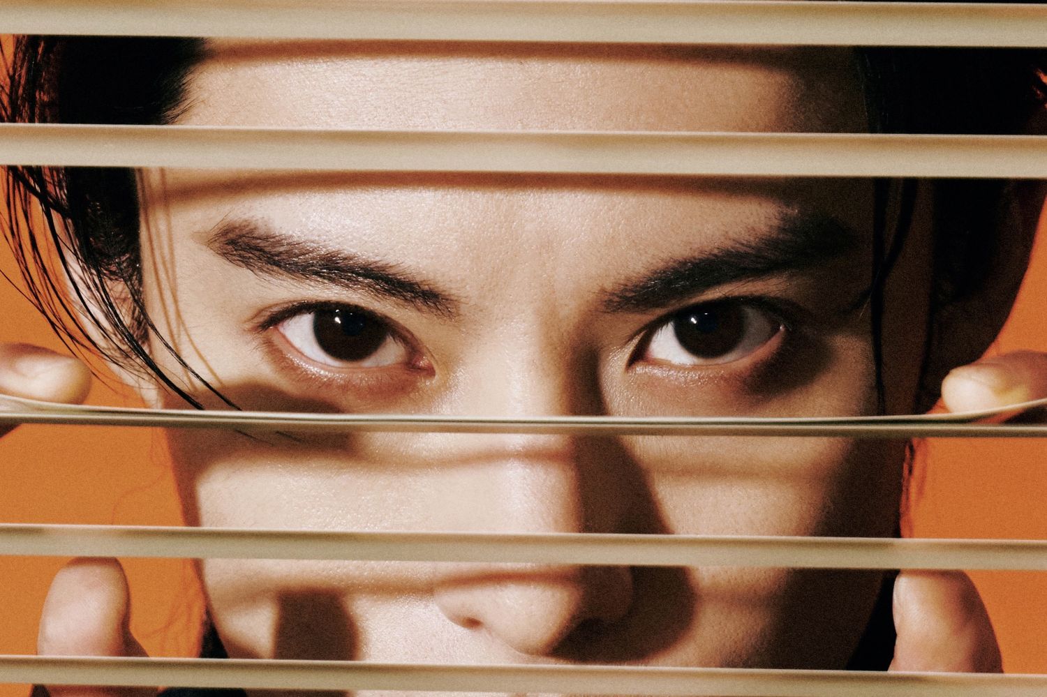 Recent activity shot of Dylan Wang