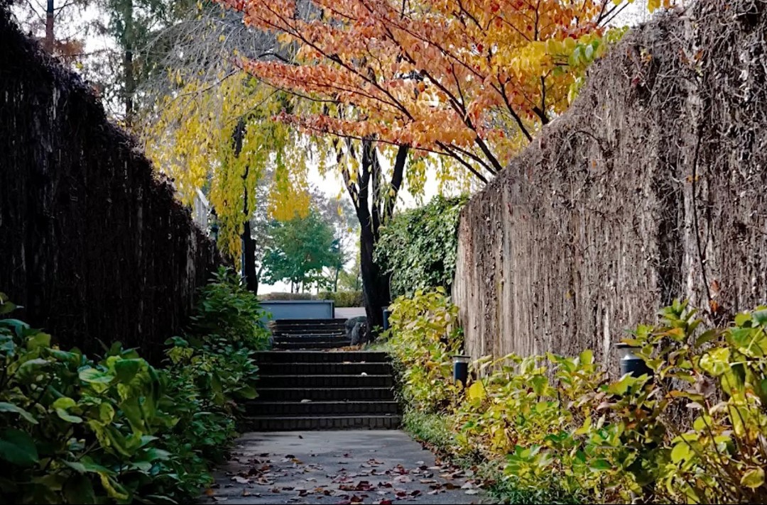 A moment captured by a fan of Kim Seonho