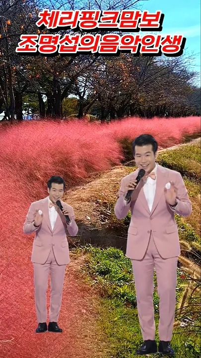 赵明燮的幕后花絮