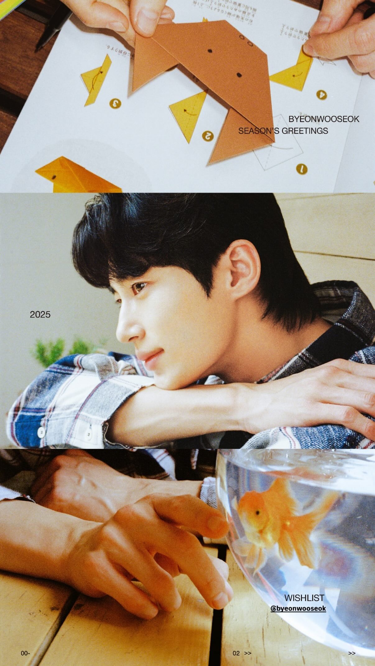 A moment captured by a fan of Byeon Wooseok