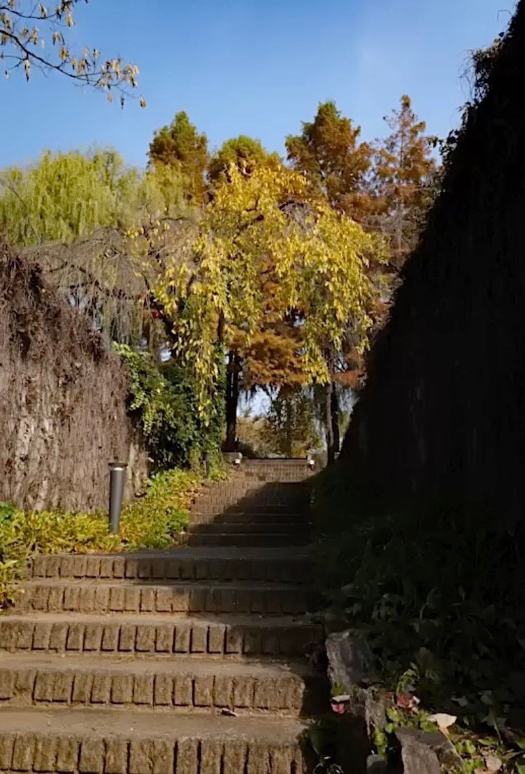 Momen yang diabadikan oleh penggemar Kim Seonho