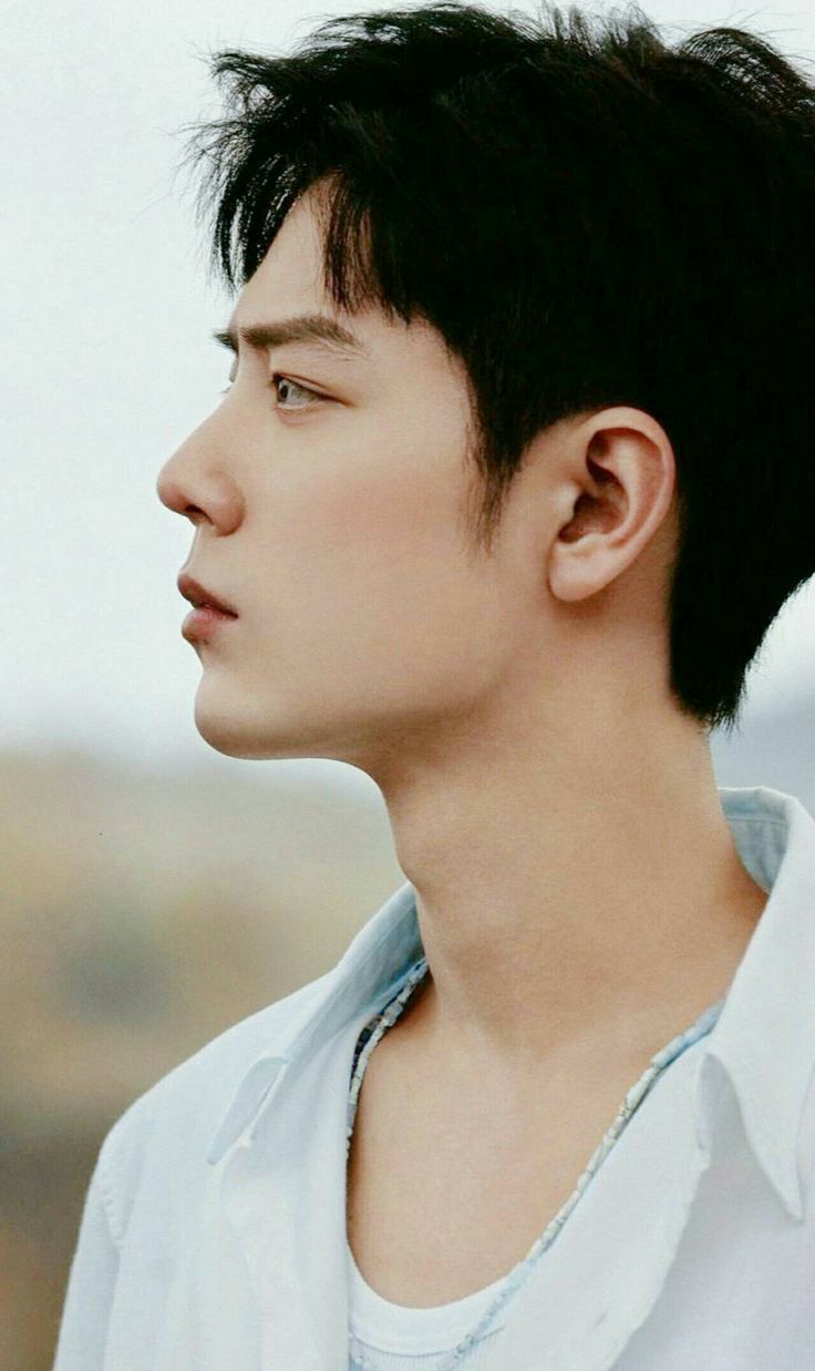 Today's popular wallpaper in Xiao Zhan community