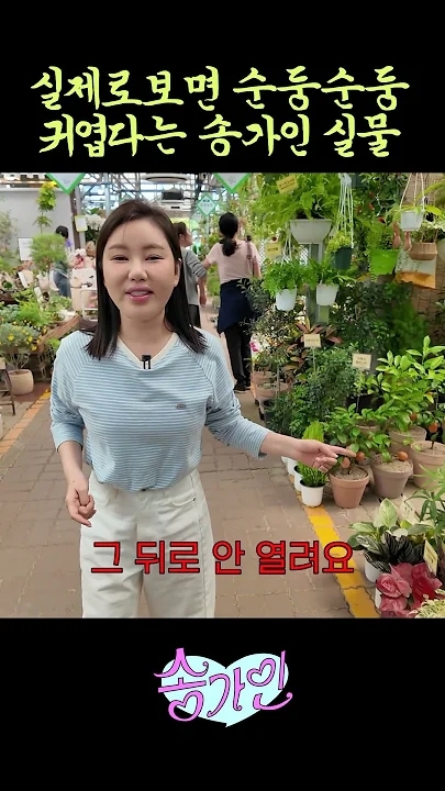 Recent activity shot of Song Gain
