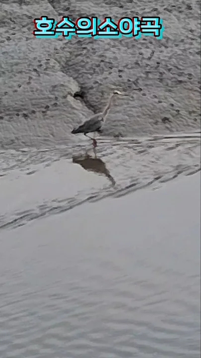 赵明燮的最新照片