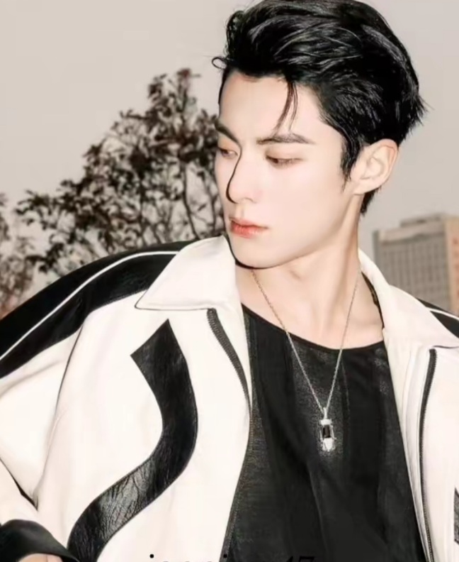 A moment captured by a fan of Dylan Wang