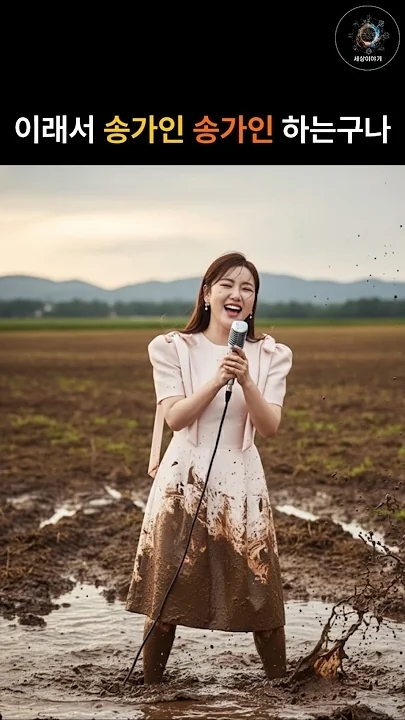 宋歌人的近期活動照