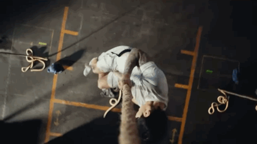 Recent activity shot of Dex