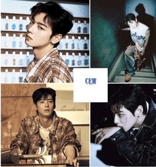 車銀優的近期活動照