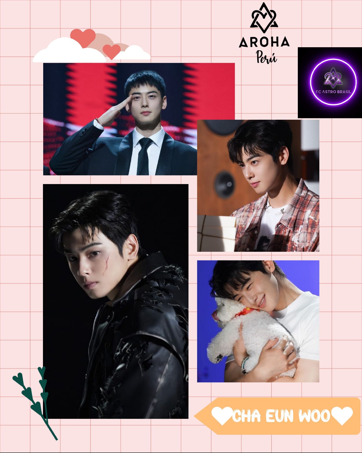 Recent activity shot of Cha Eunwoo