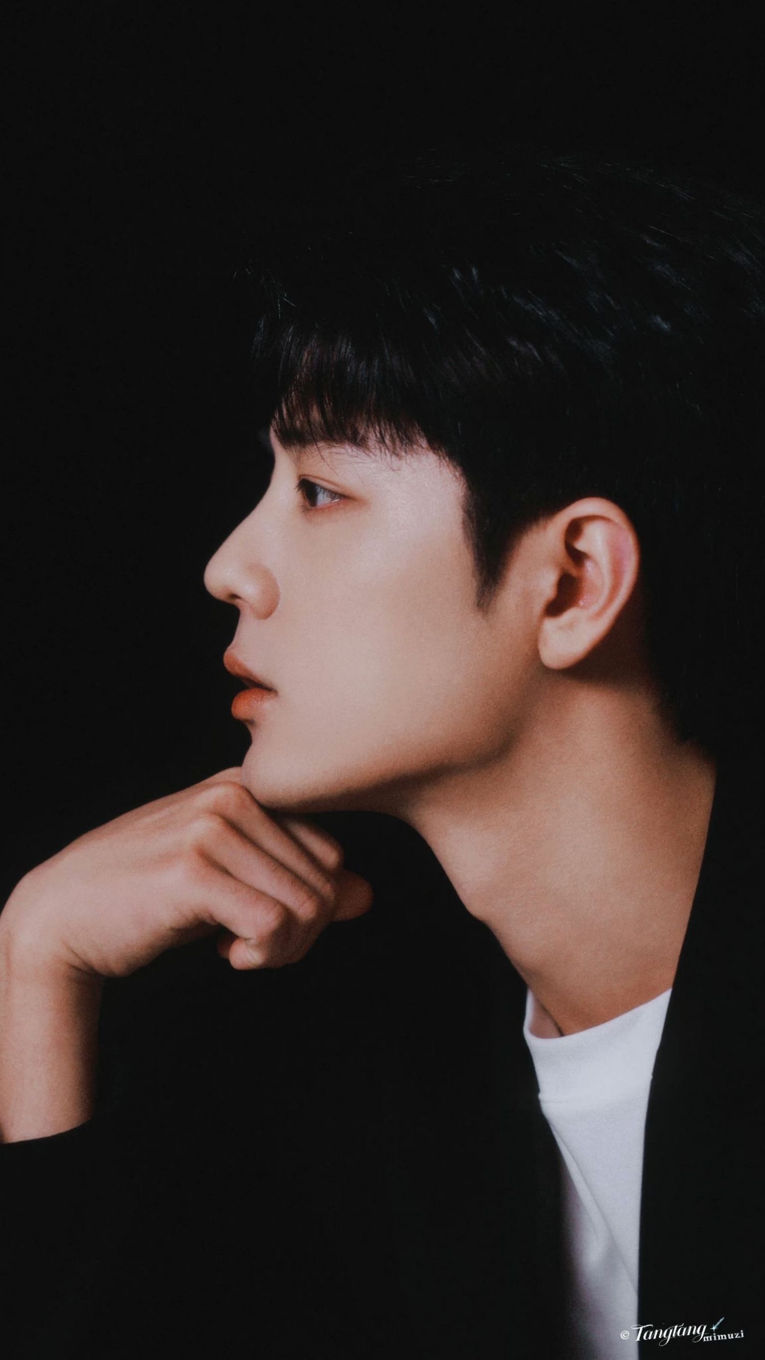 肖战粉丝团喜爱的代表背景图片