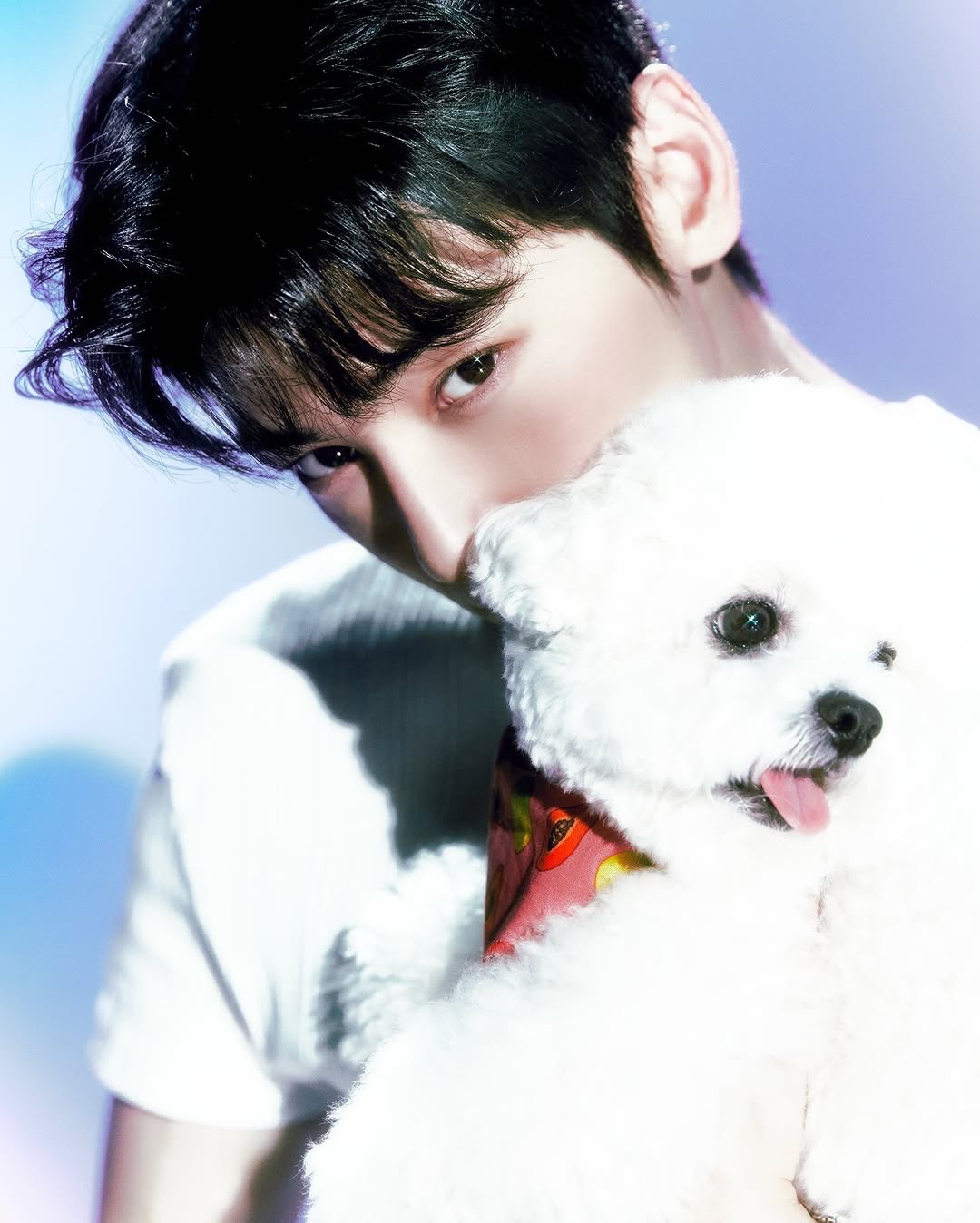 Recent activity shot of Cha Eunwoo