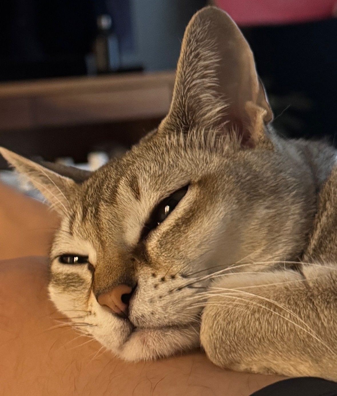 Recent activity shot of Jang Geunsuk