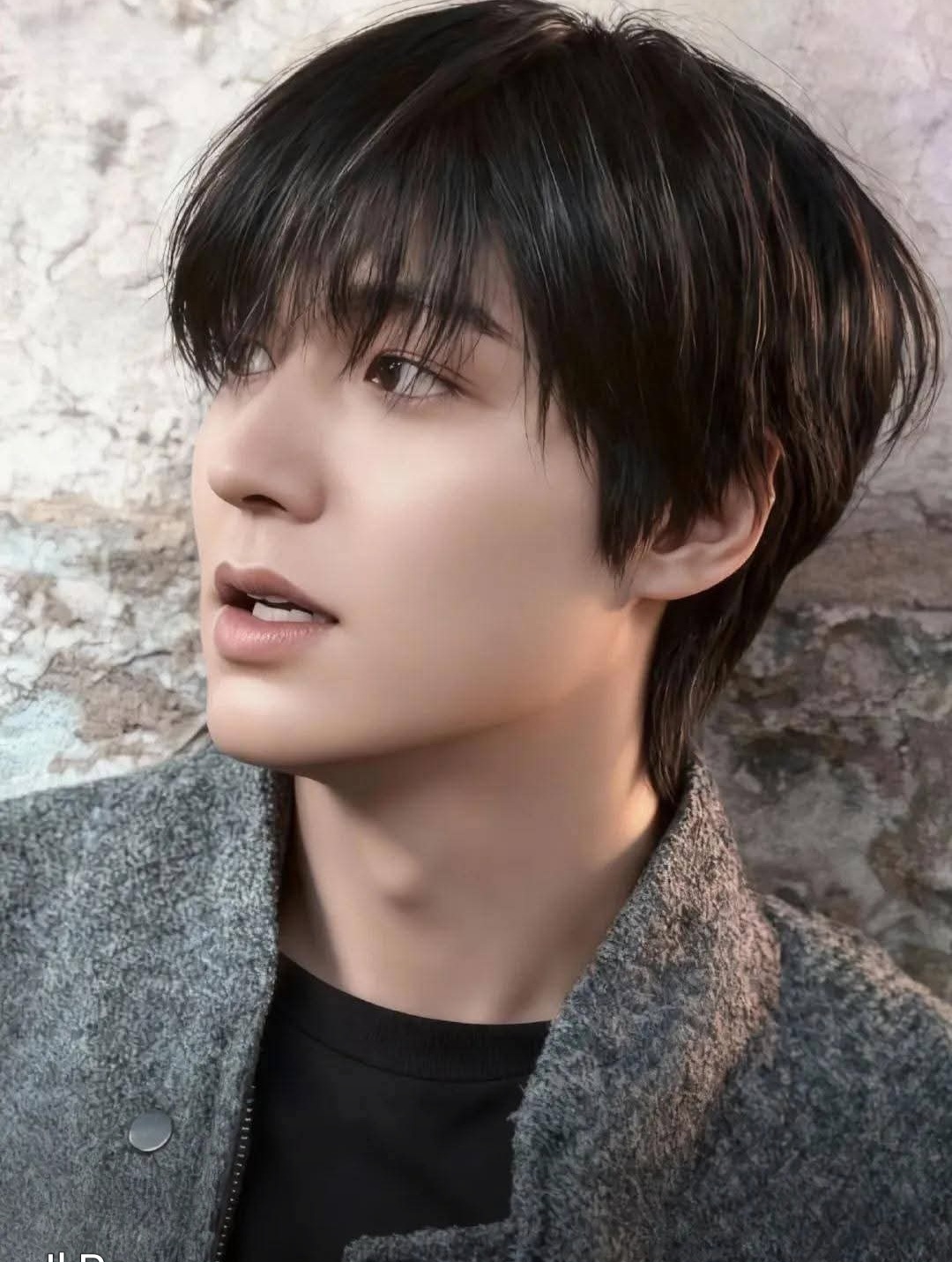 李敏镐的近期活动照