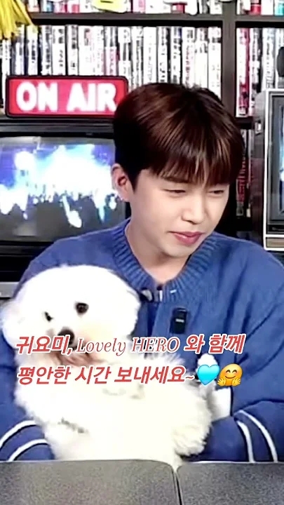 임영웅 팬덤이 사랑하는 대표 배경 이미지