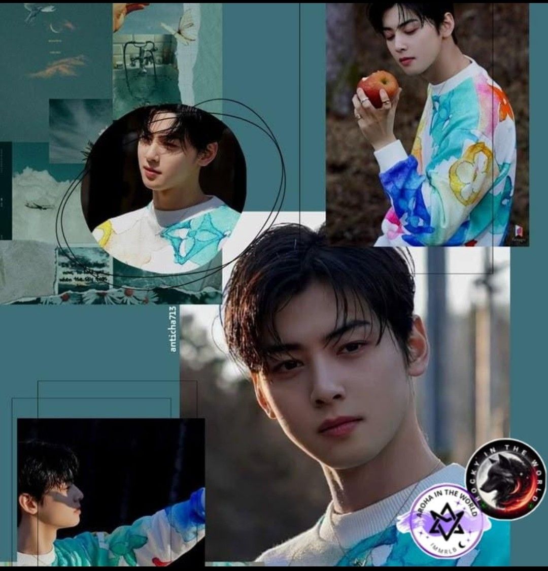 A moment captured by a fan of Cha Eunwoo