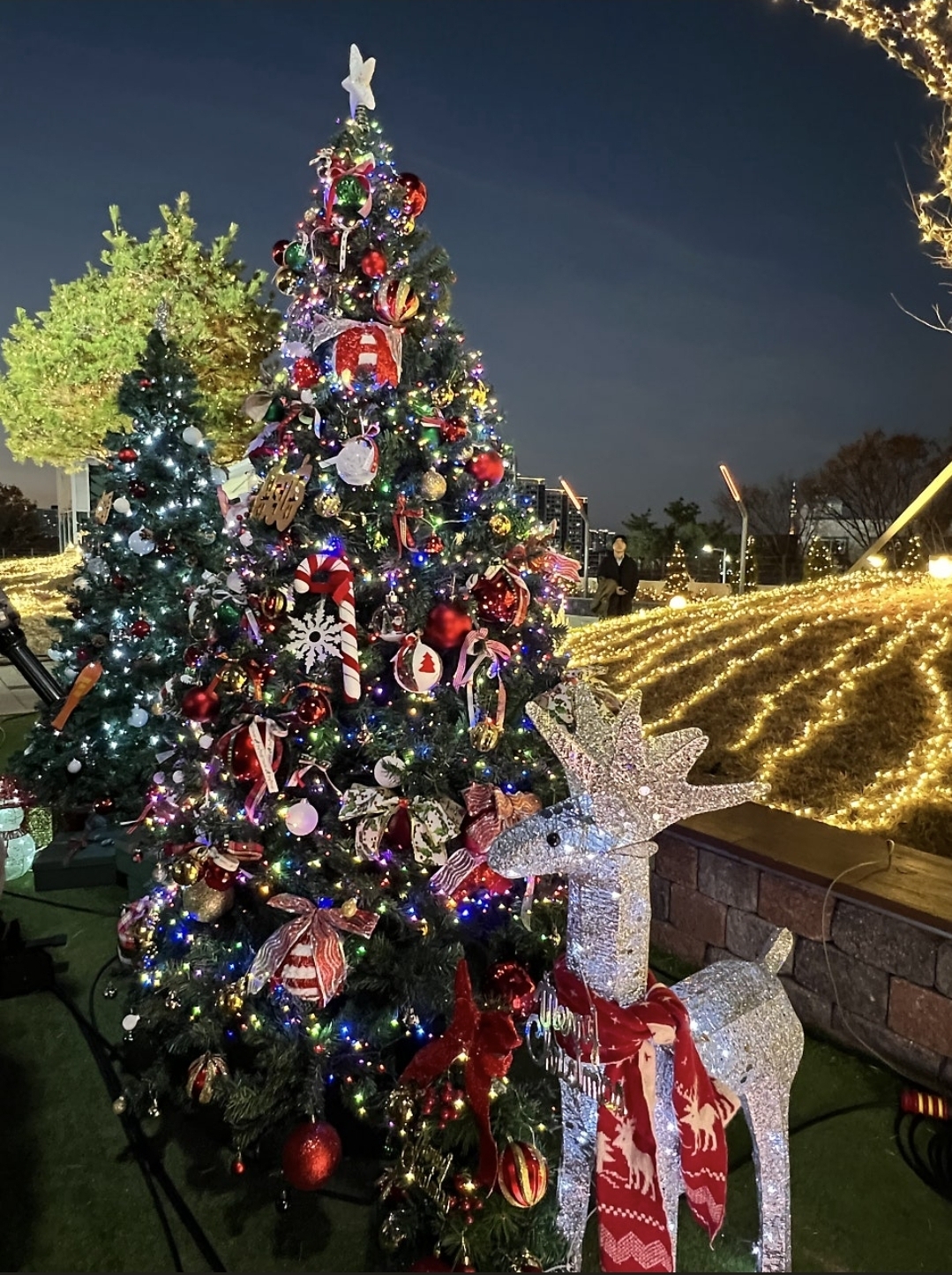 金浩中的最新照片