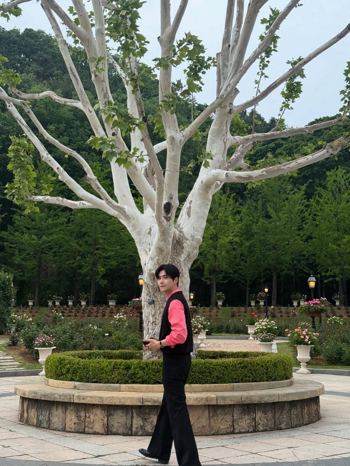 キム・ソンホのビハインドカット