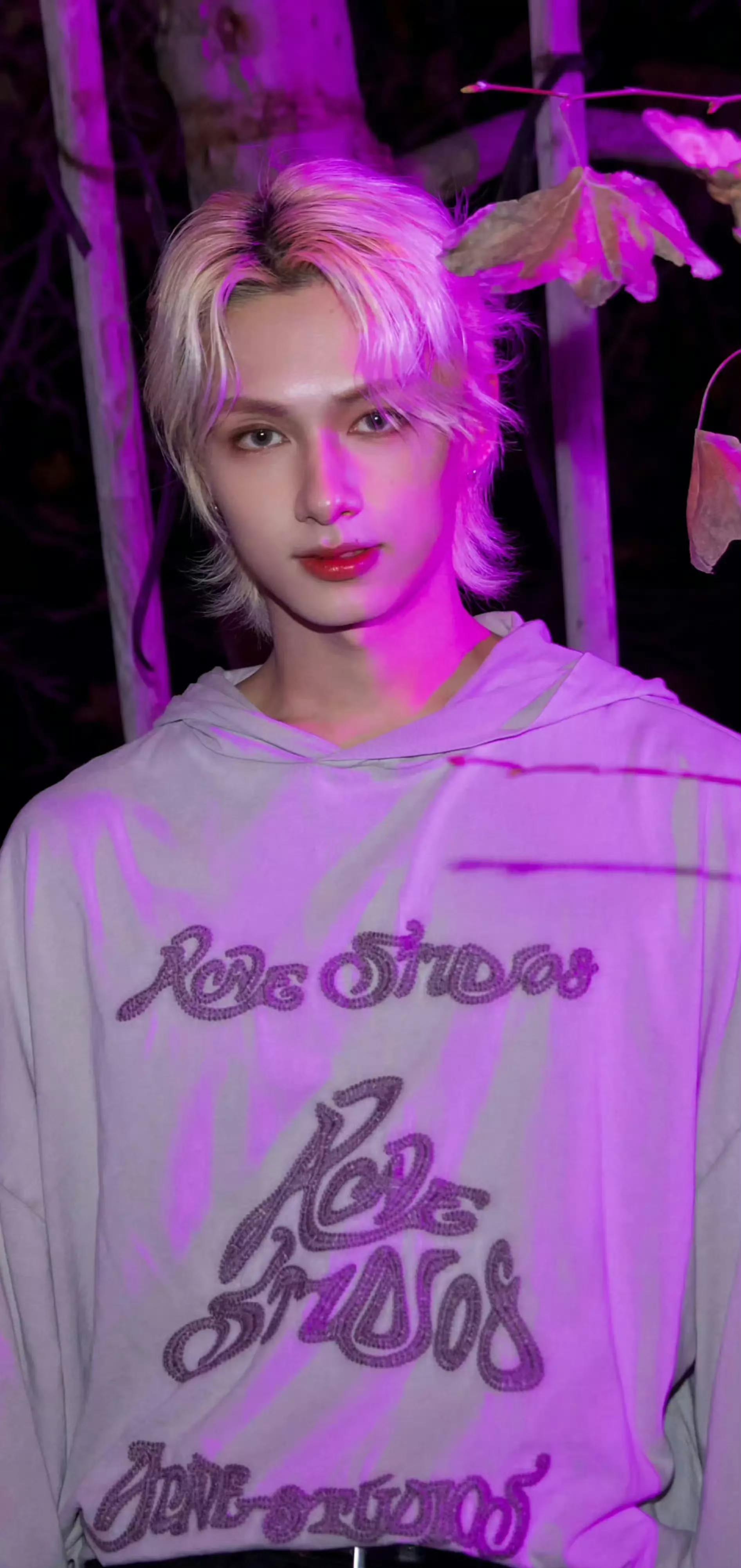 Emotional wallpaper shared by fans for Wen Junhui