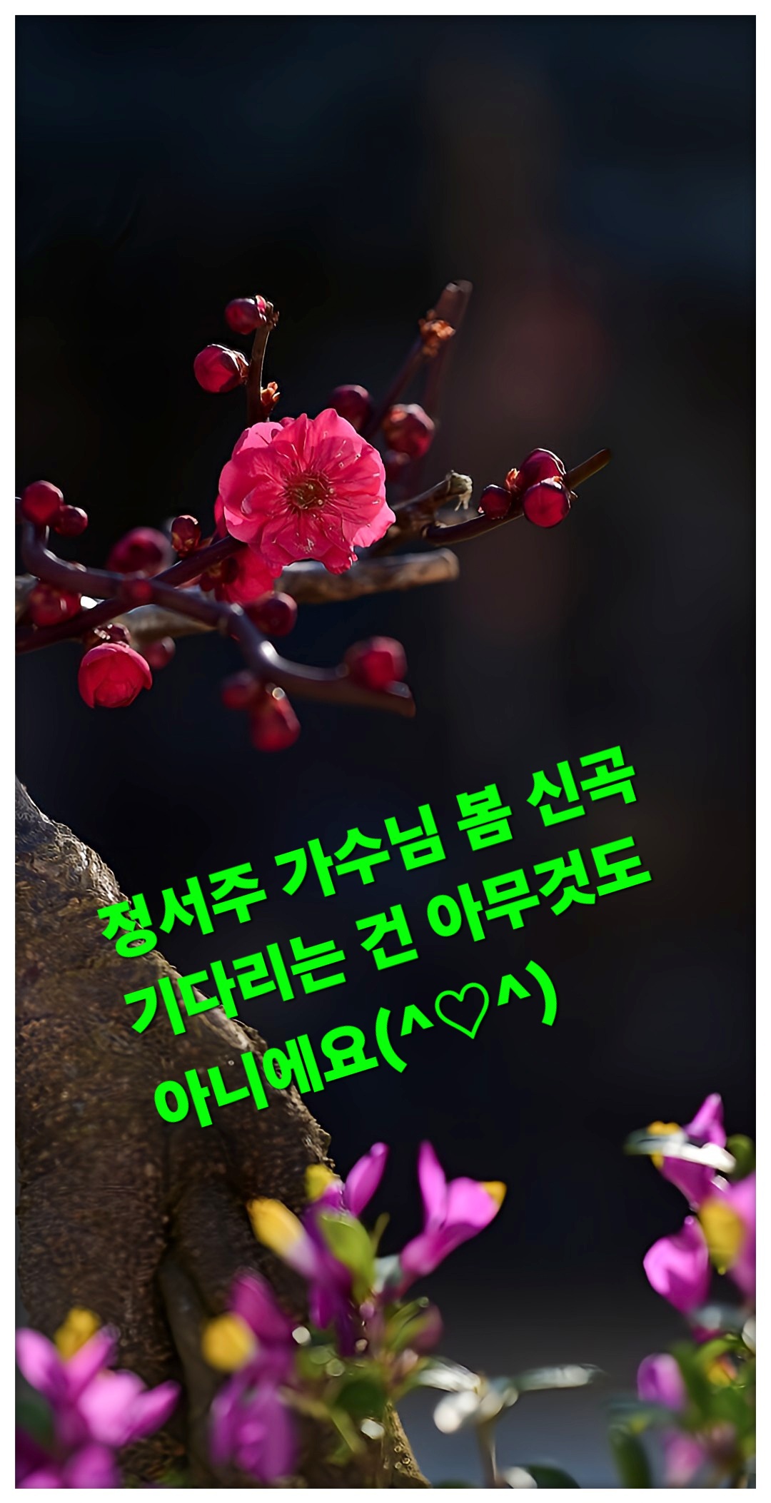 Today's popular wallpaper in Jung Seojoo community