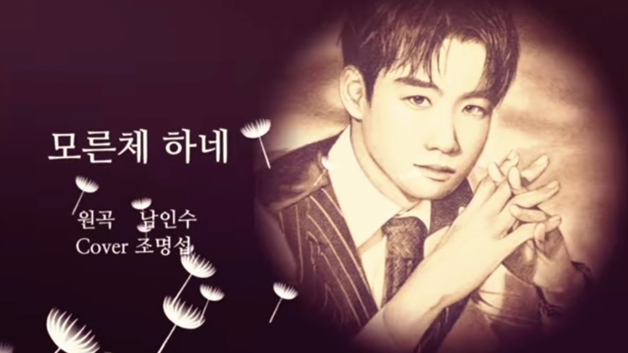 赵明燮的幕后花絮