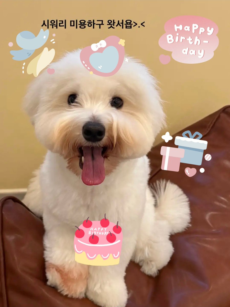 임영웅의 최신 사진