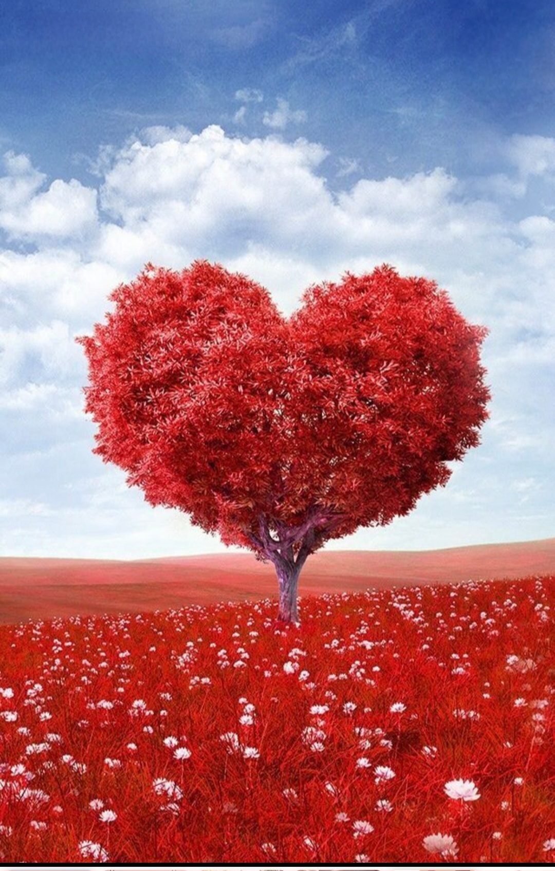 ファンが撮影したユ・ジウの瞬間