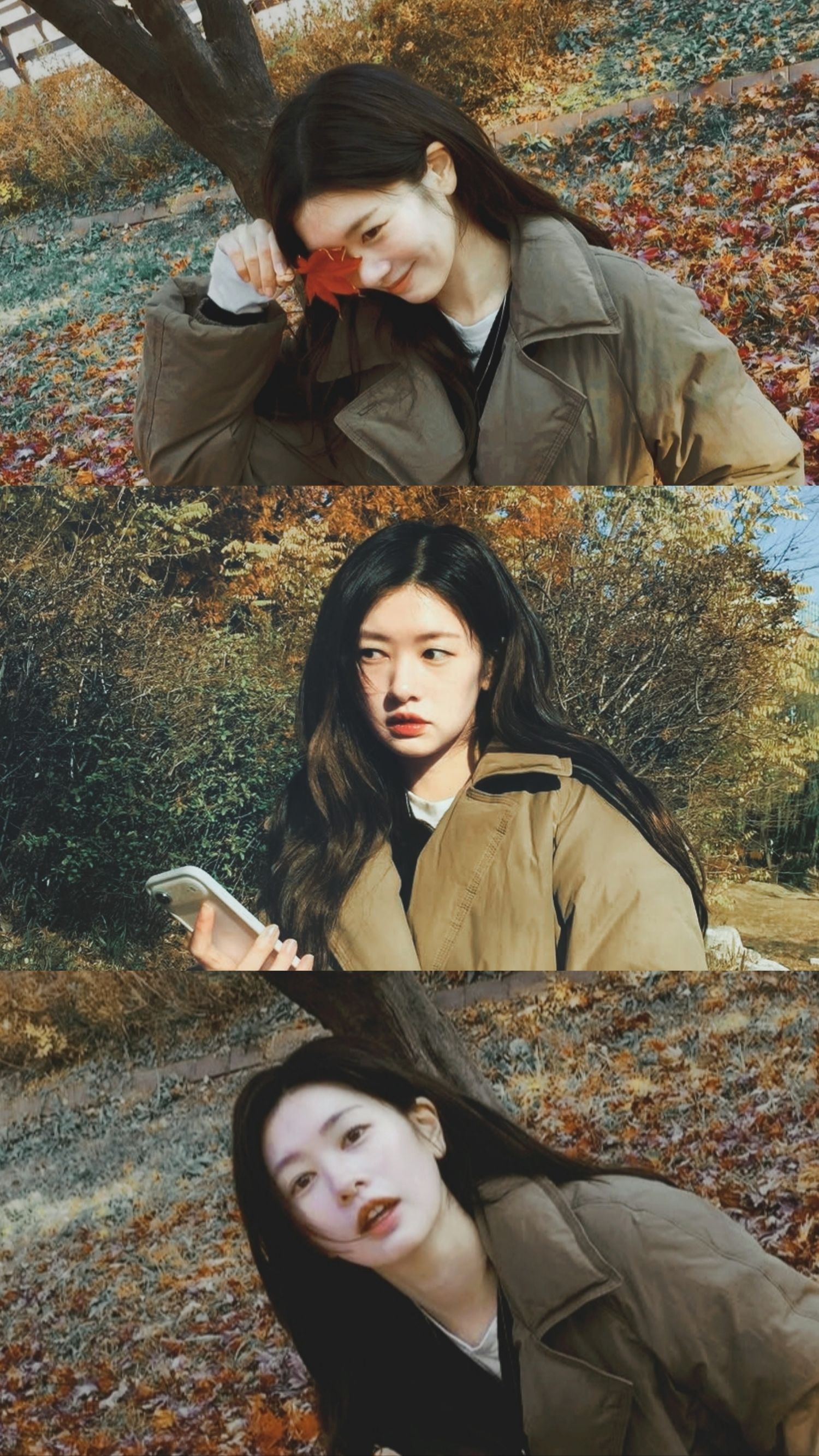 Representative background image loved by Jung Somin fandom