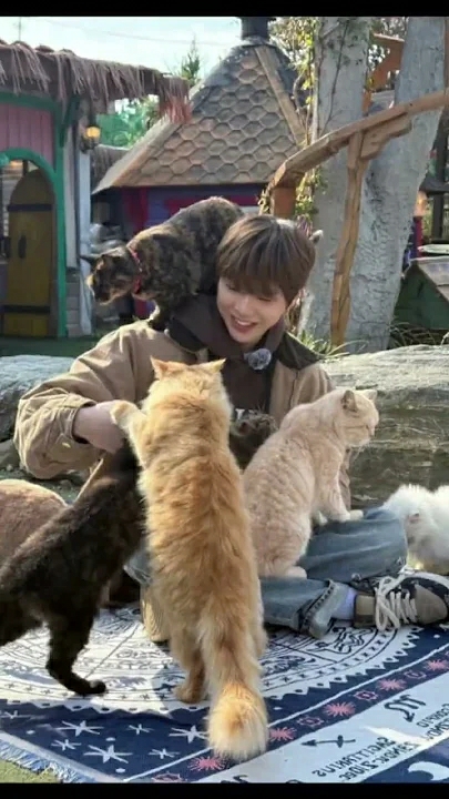 Today's popular wallpaper in Secret Garden community