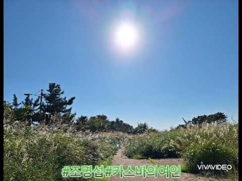 赵明燮的近期活动照