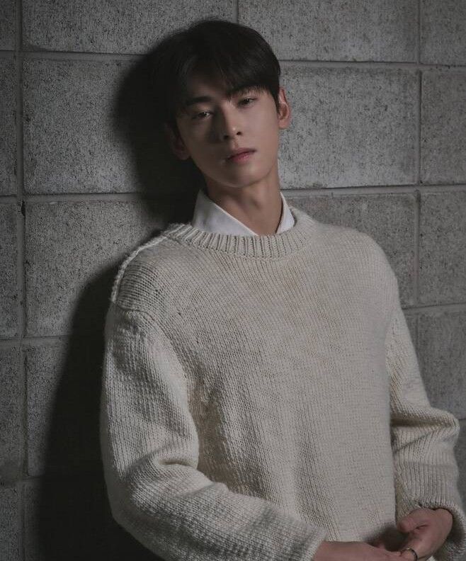 A moment captured by a fan of Cha Eunwoo