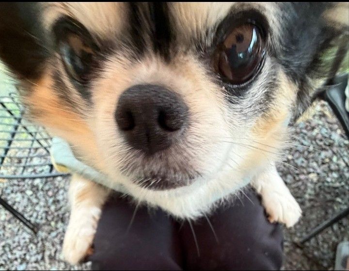 Behind-the-scenes cut of Board