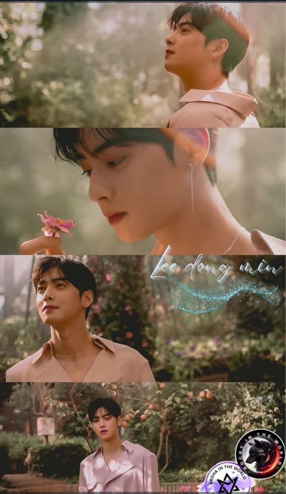 A moment captured by a fan of Cha Eunwoo
