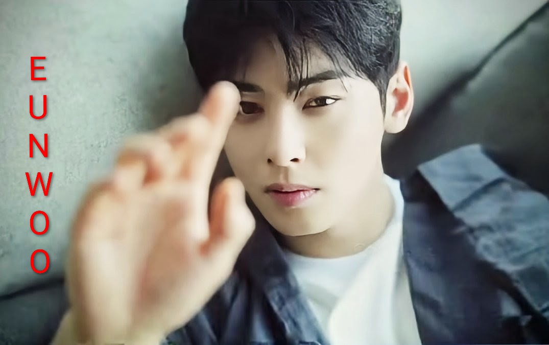 A moment captured by a fan of Cha Eunwoo