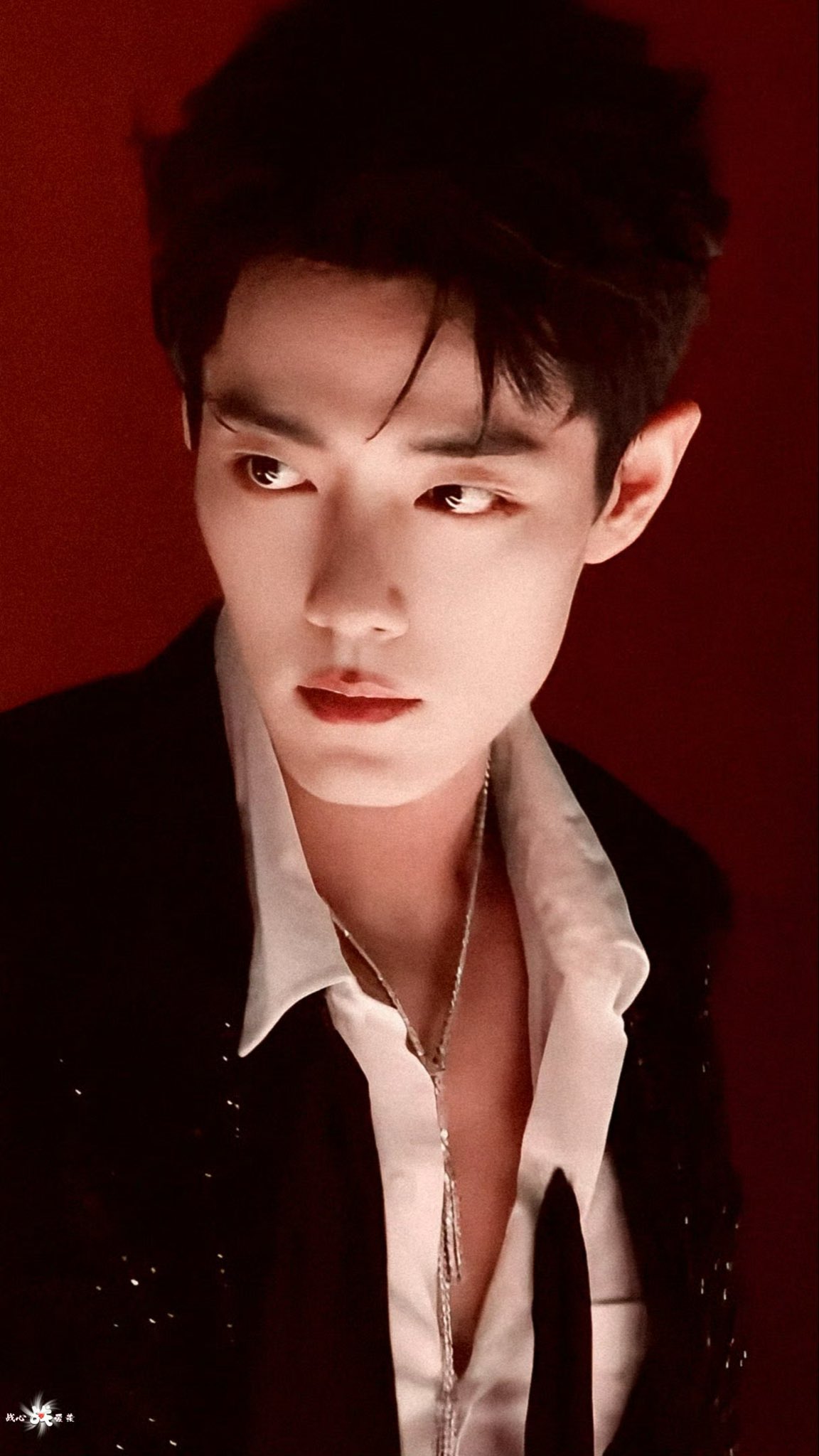 肖战粉丝团喜爱的代表背景图片