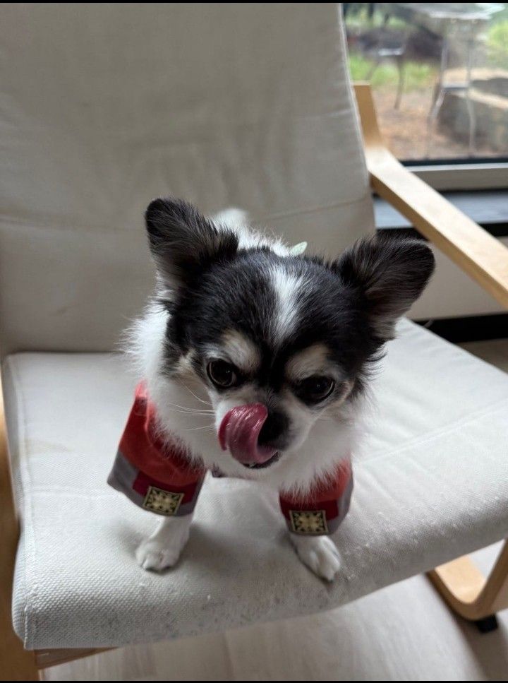 A moment captured by a fan of Board