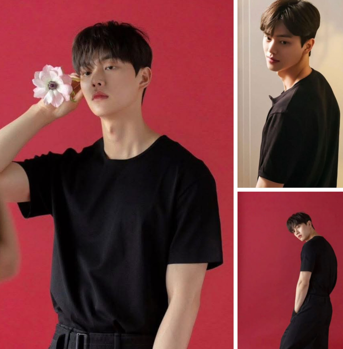 Latest photo of Song Kang