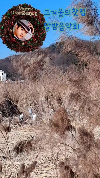 조명섭 팬이 찍은 순간