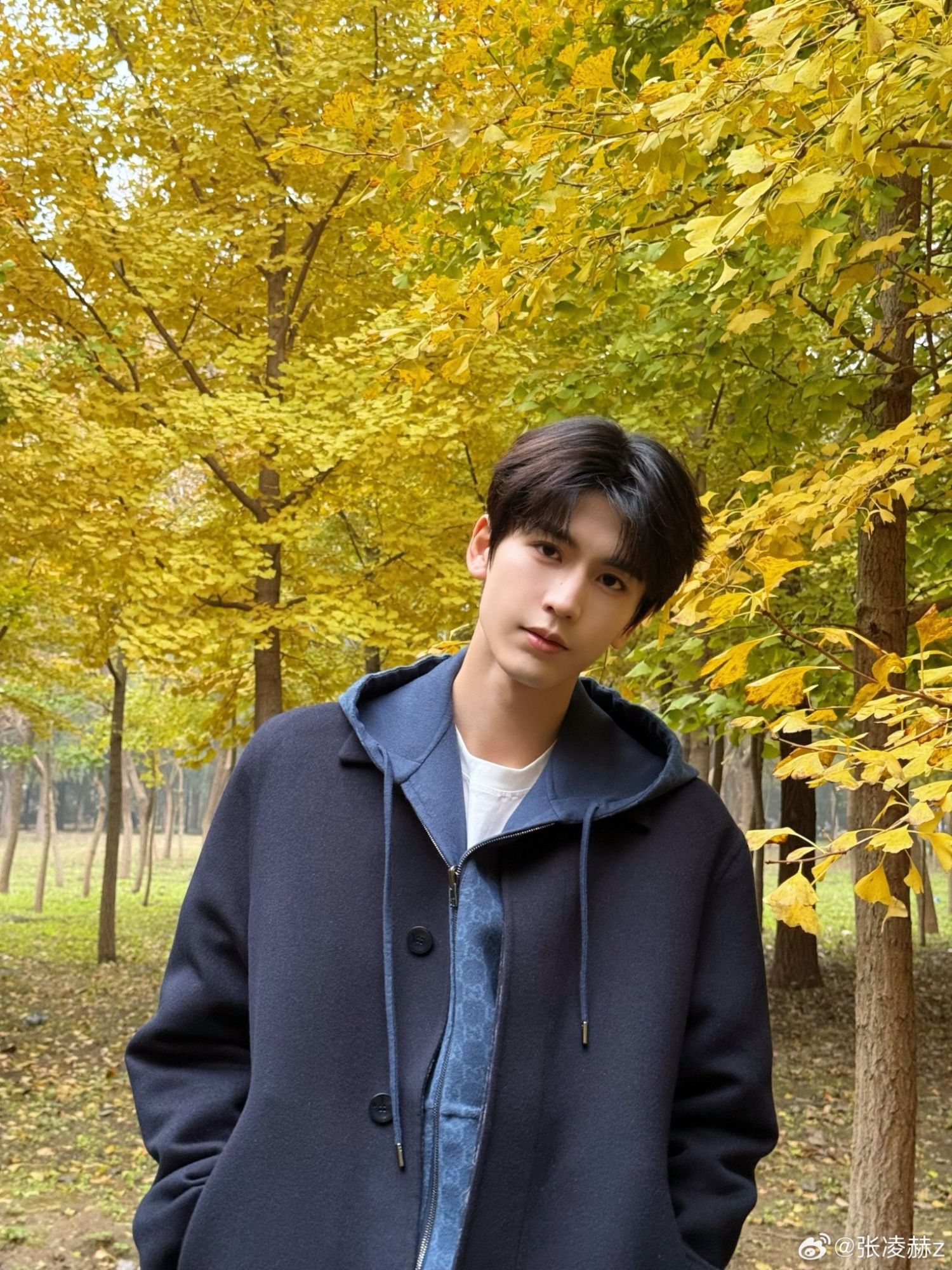 Recent activity shot of Zhang Linghe