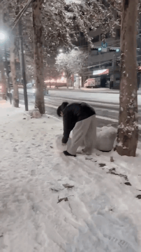 Latest photo of Lim Youngwoong